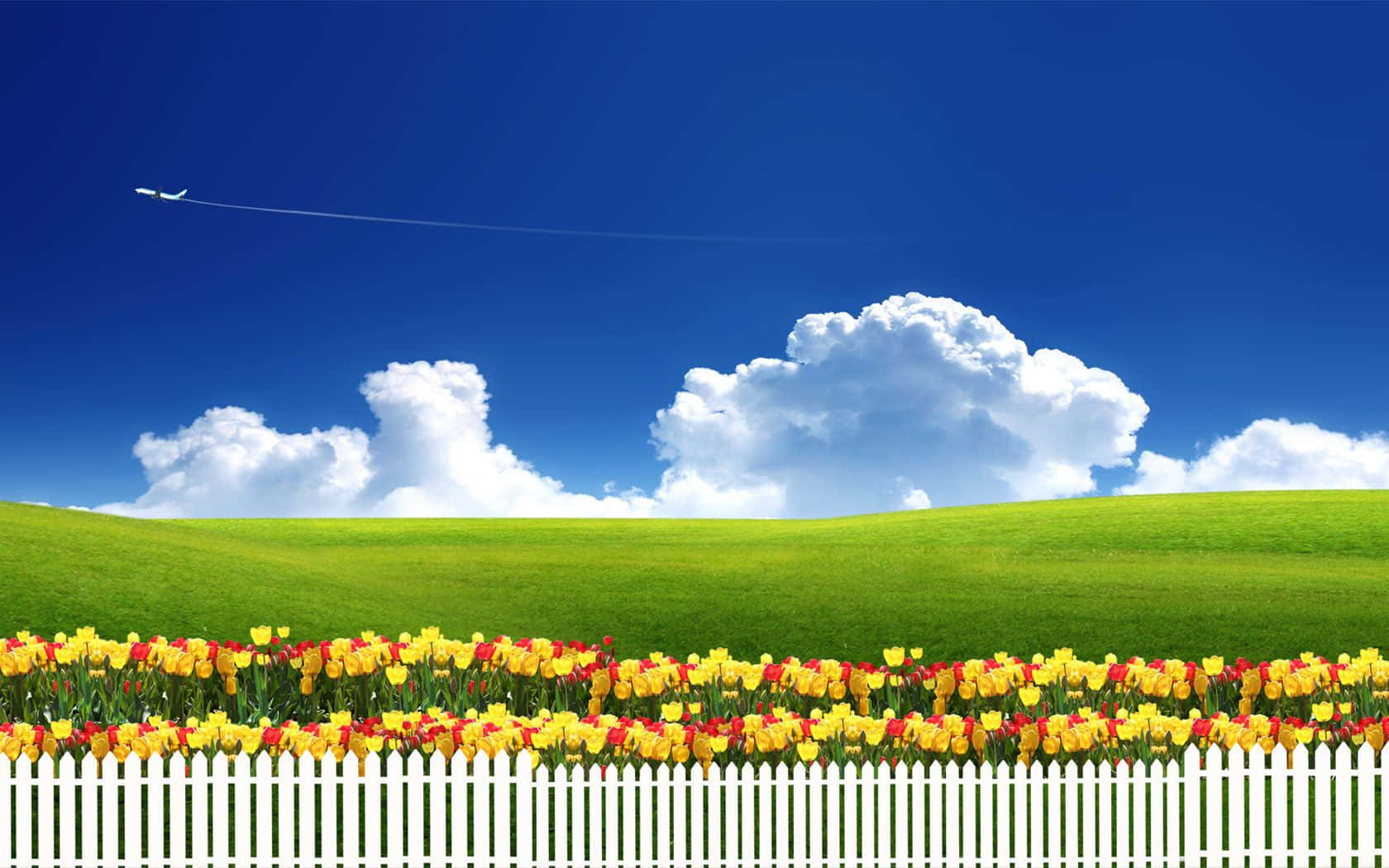 Blooming Summer Garden Wallpaper