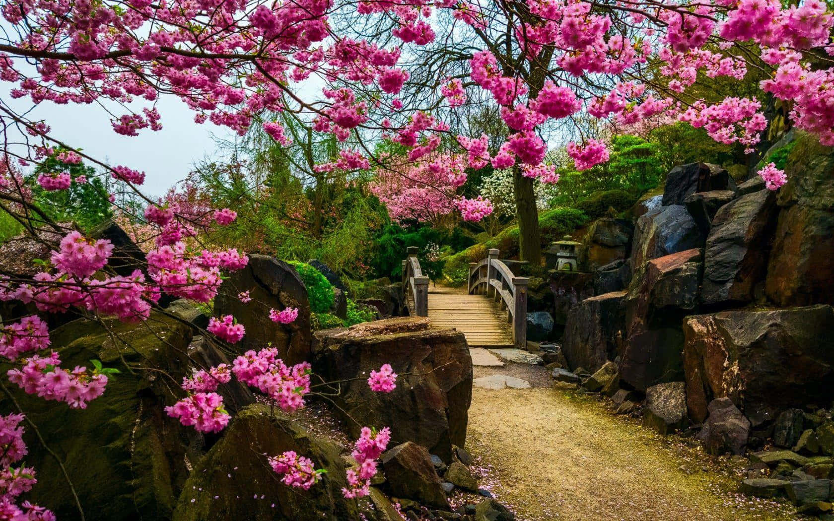 Blossoming Fantasy Garden Path Wallpaper