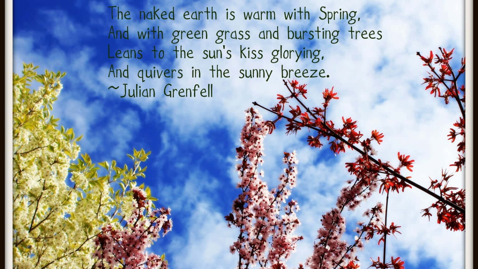 Blossoming Tree With Inspiring Spring Quote Wallpaper