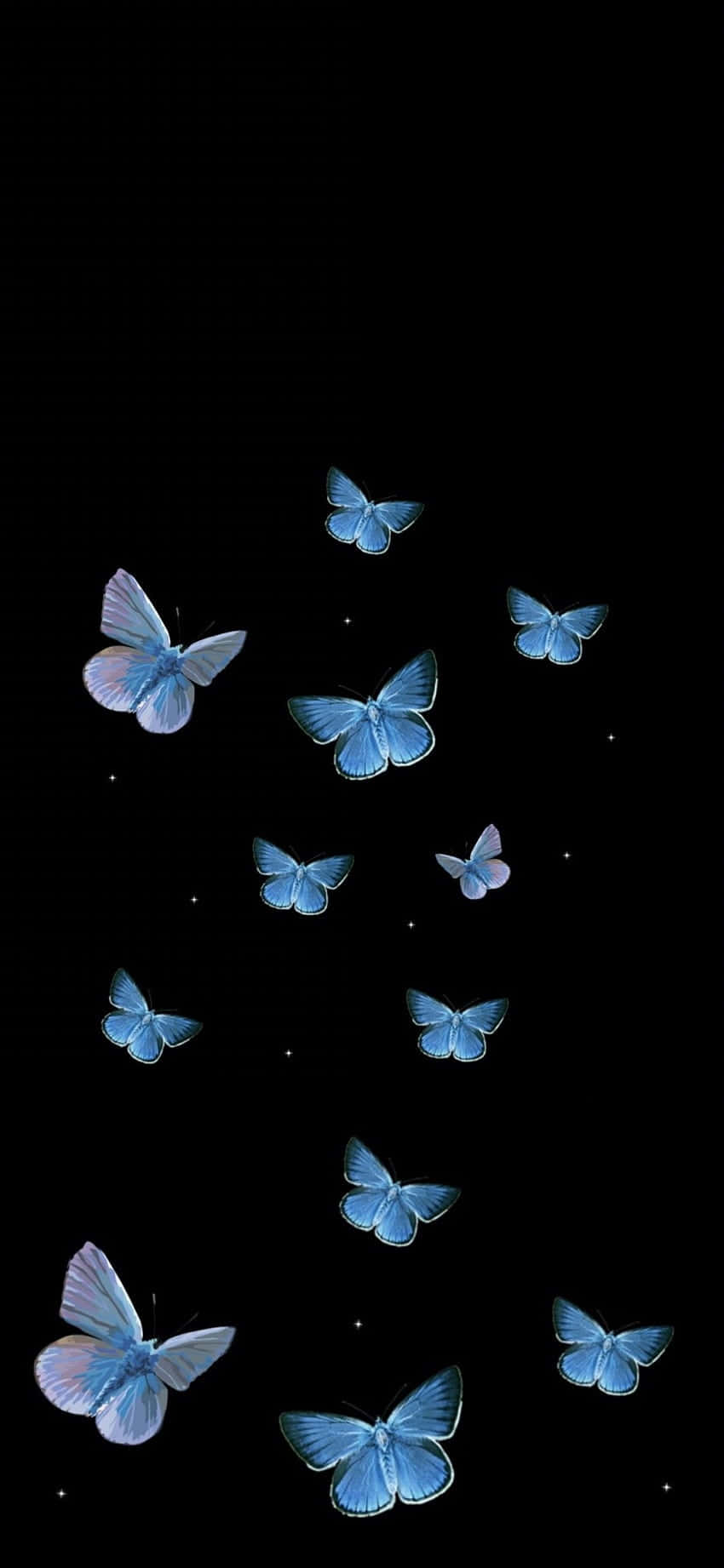 Blue Butterflies Night Sky Wallpaper