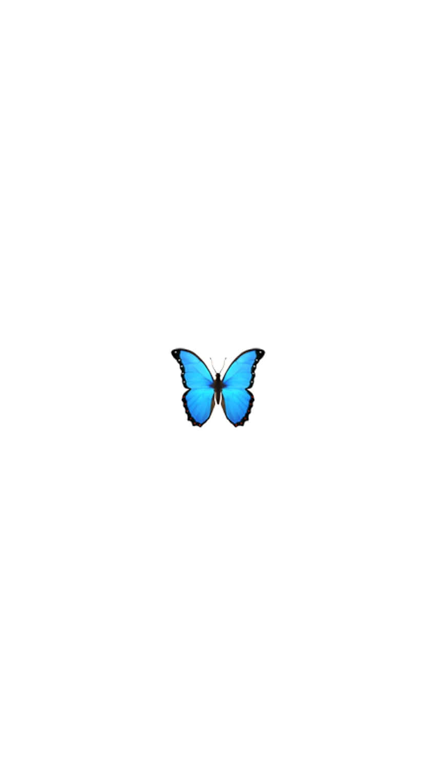 Blue Butterfly Isolated Background Wallpaper