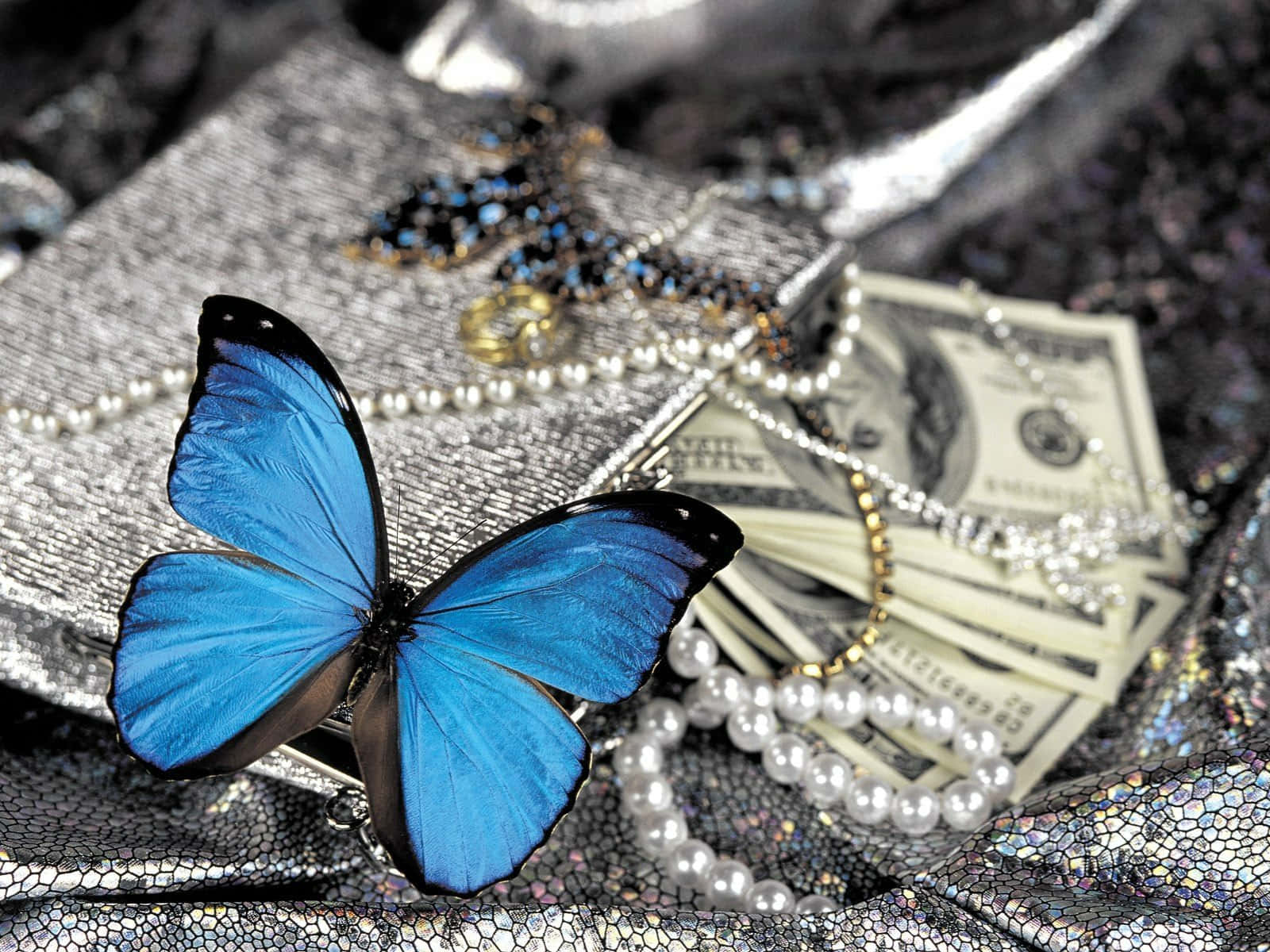 Blue Butterfly Jewelryand Money Wallpaper