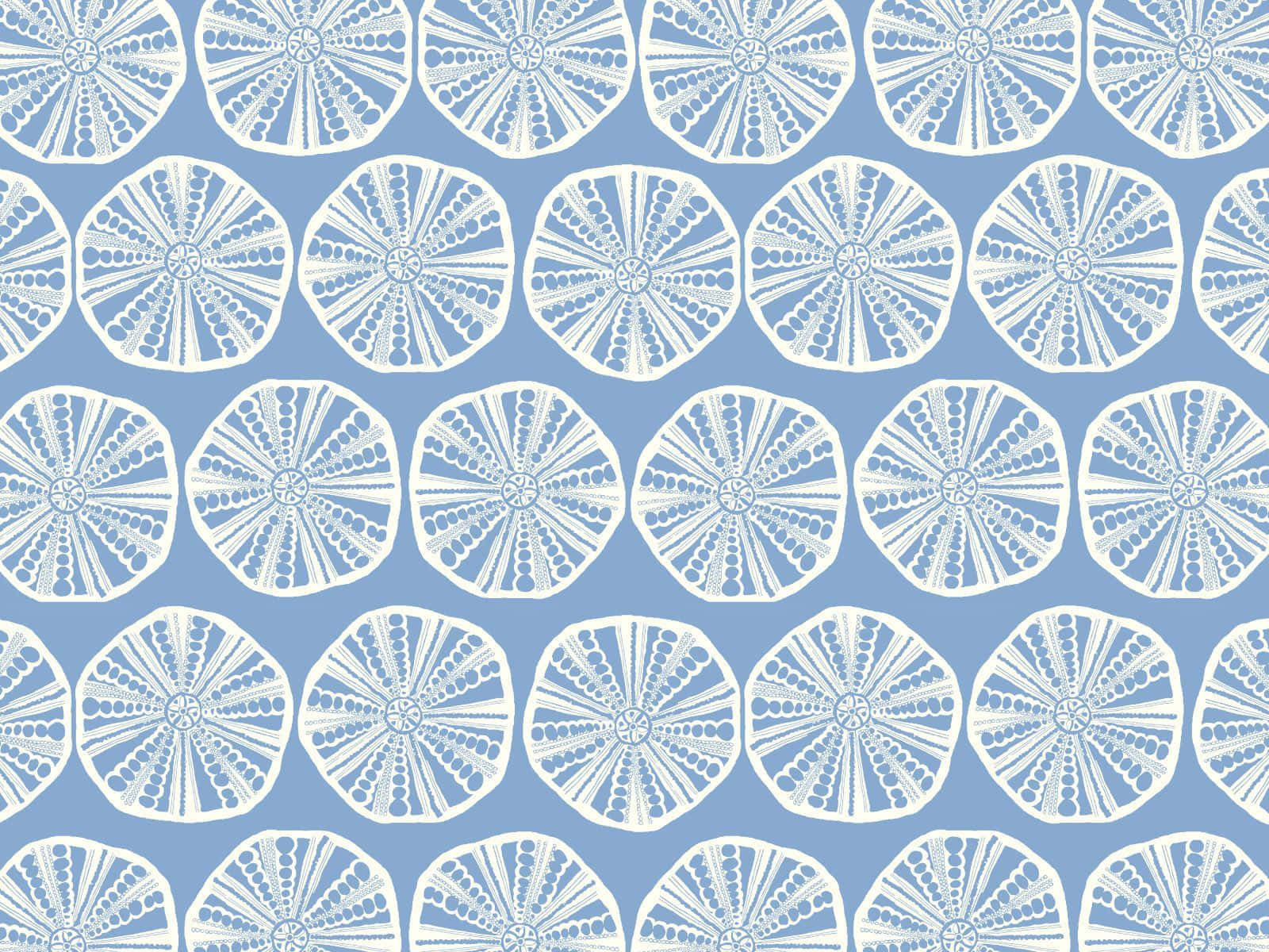 Blue Coastal Sand Dollar Pattern Wallpaper