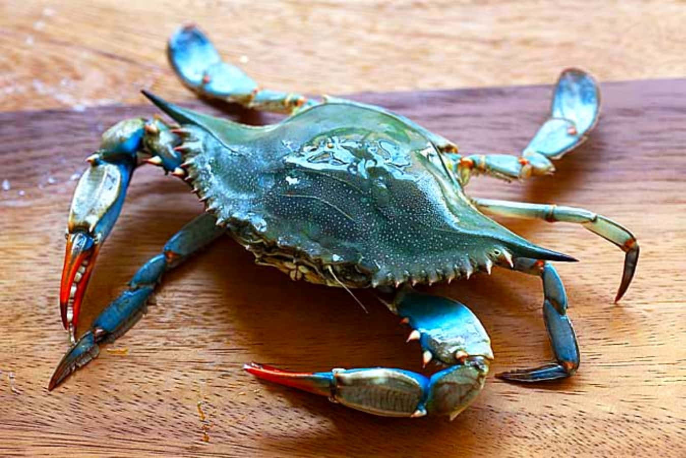 Blue Crab On Wooden Surface Wallpaper