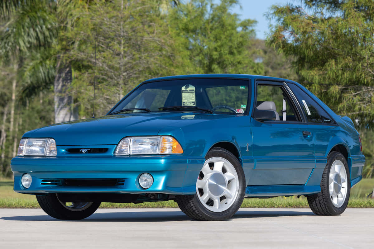 Blue Ford Mustang S V T Cobra Wallpaper