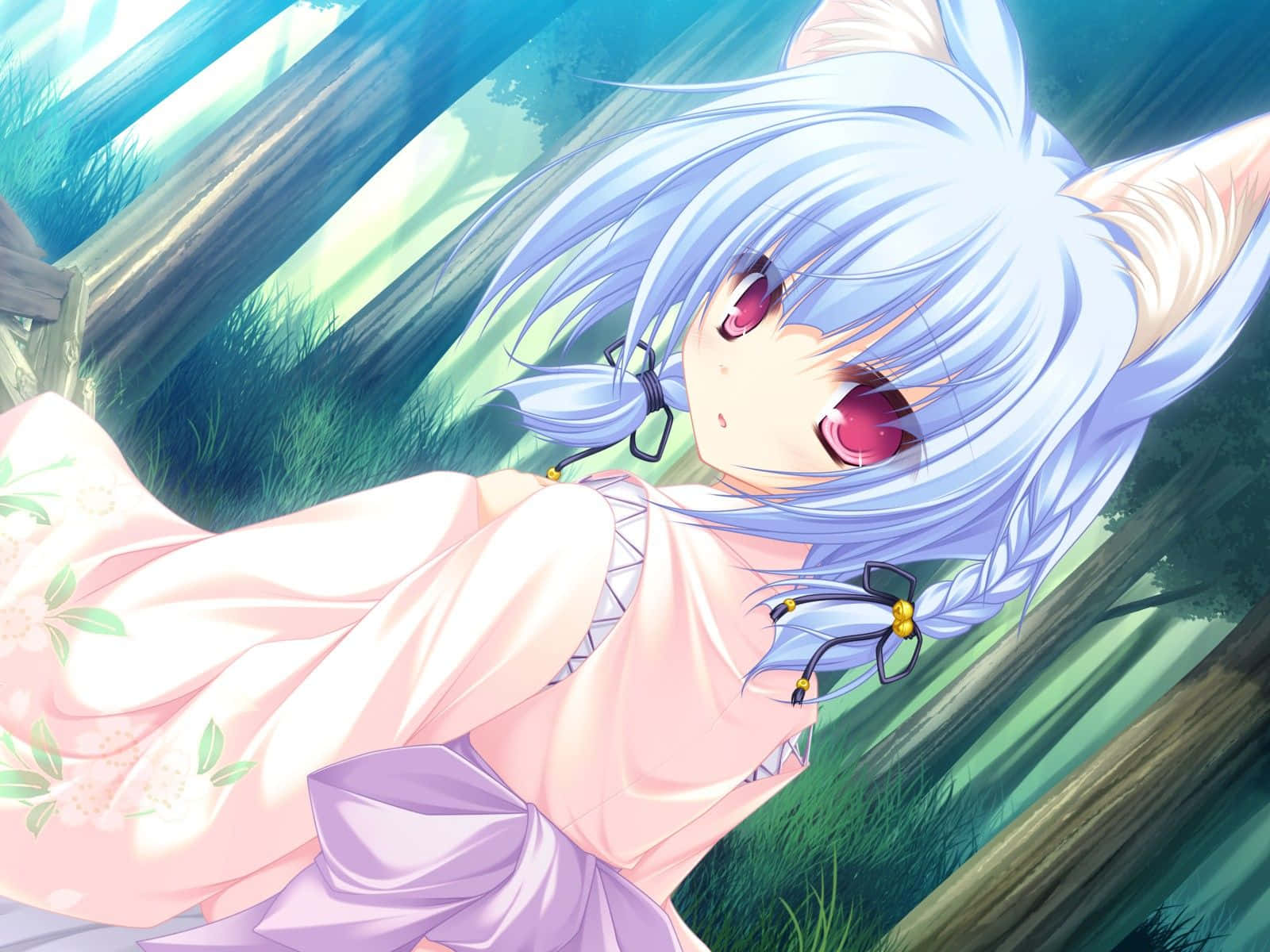 Blue Haired Anime Neko Girlin Forest Wallpaper