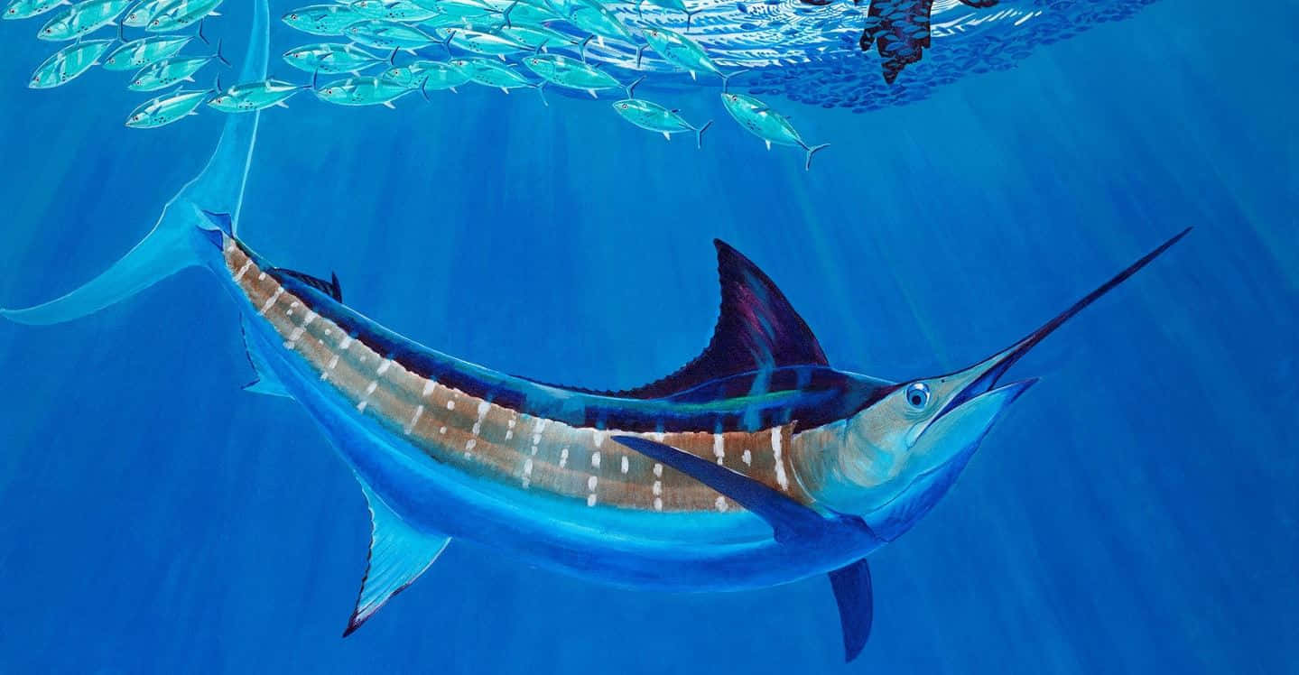 Blue Marlin Underwater Majesty Wallpaper