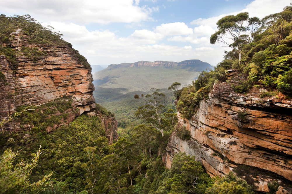 Blue Mountains National Park - A Peaceful Eden Wallpaper