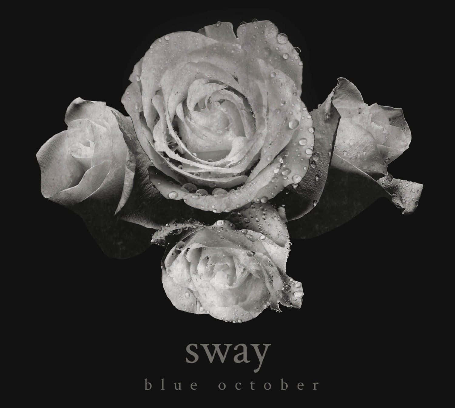 Blue October’s Melancholic Sound That Captivates And Resonates With Millions Wallpaper