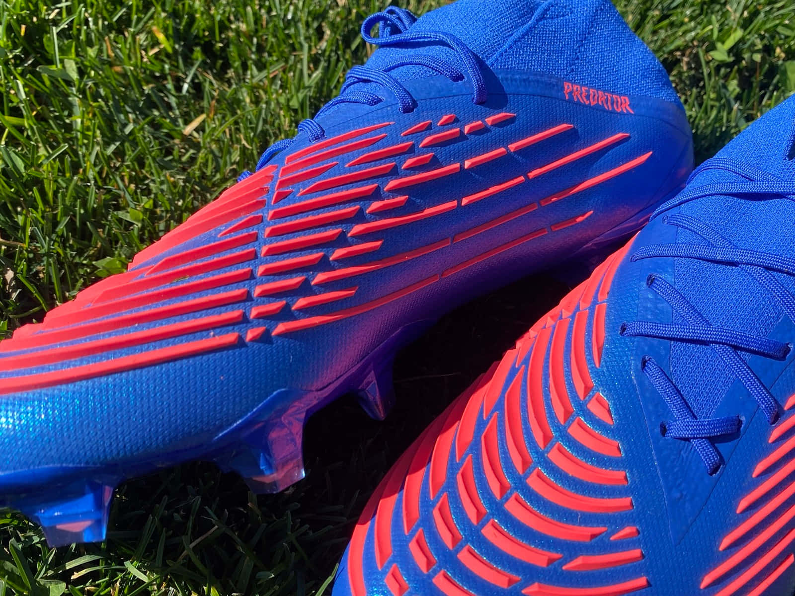 Blue Red Predator Soccer Cleats Wallpaper