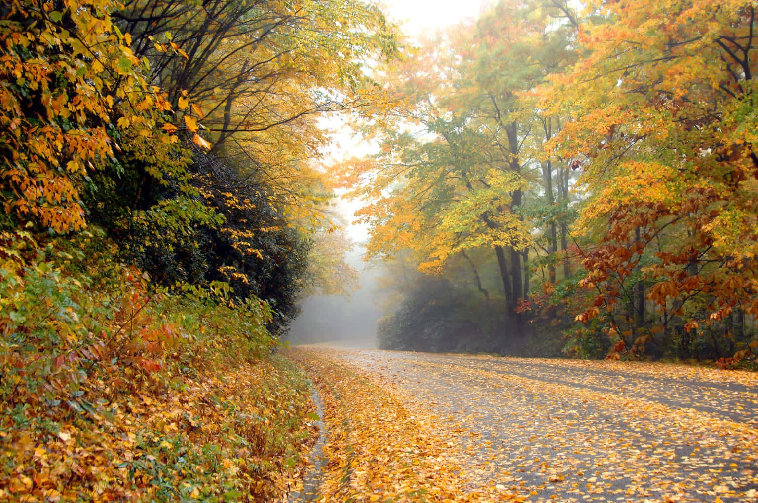 Blue Ridge Parkway - Capiltal Of The Appalachians Wallpaper