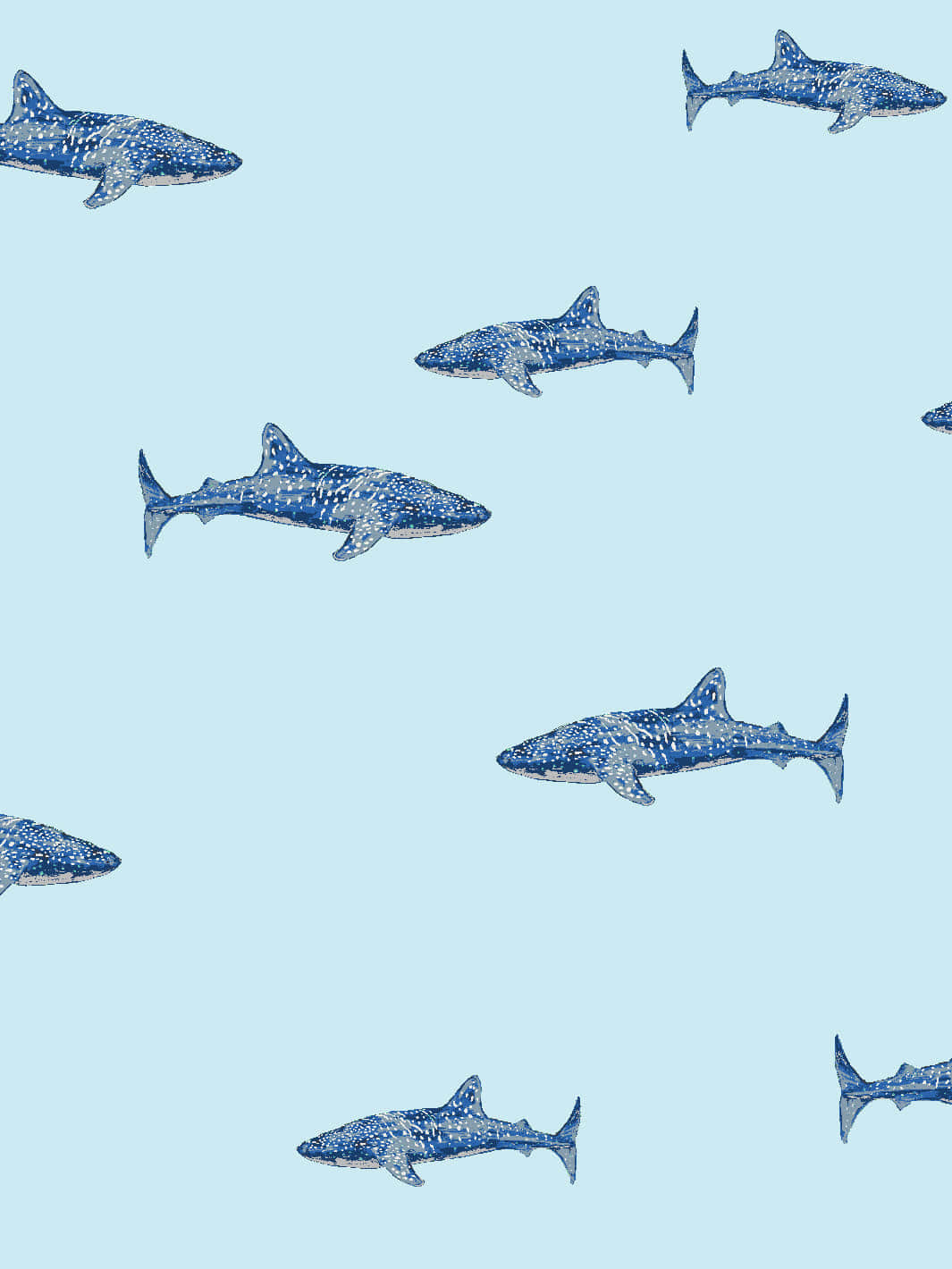 Blue Shark Pattern Wallpaper Wallpaper