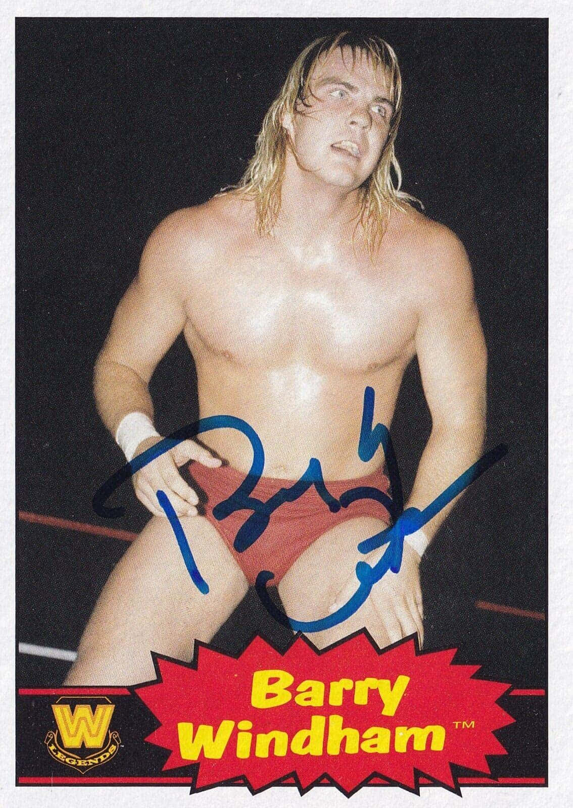 Blue Signature Barry Windham Wallpaper