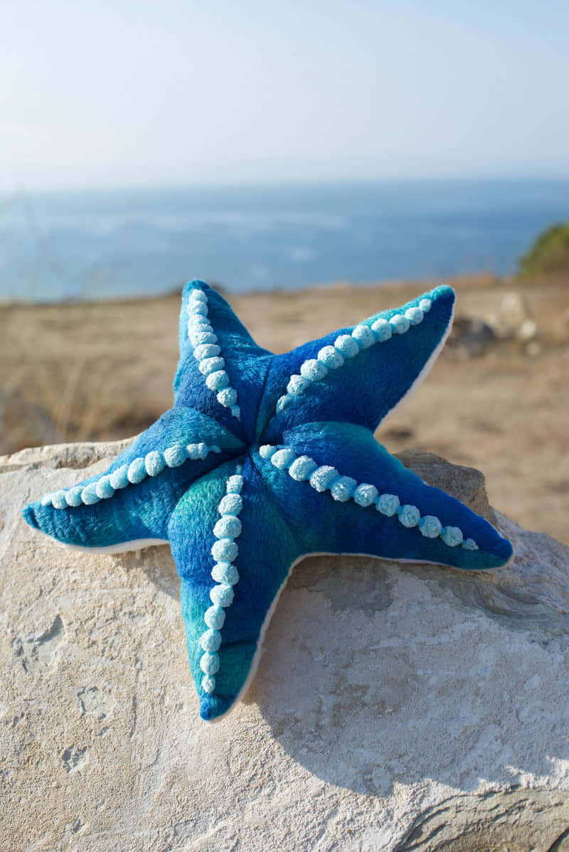 Blue_ Starfish_on_ Rock_by_ Ocean Wallpaper