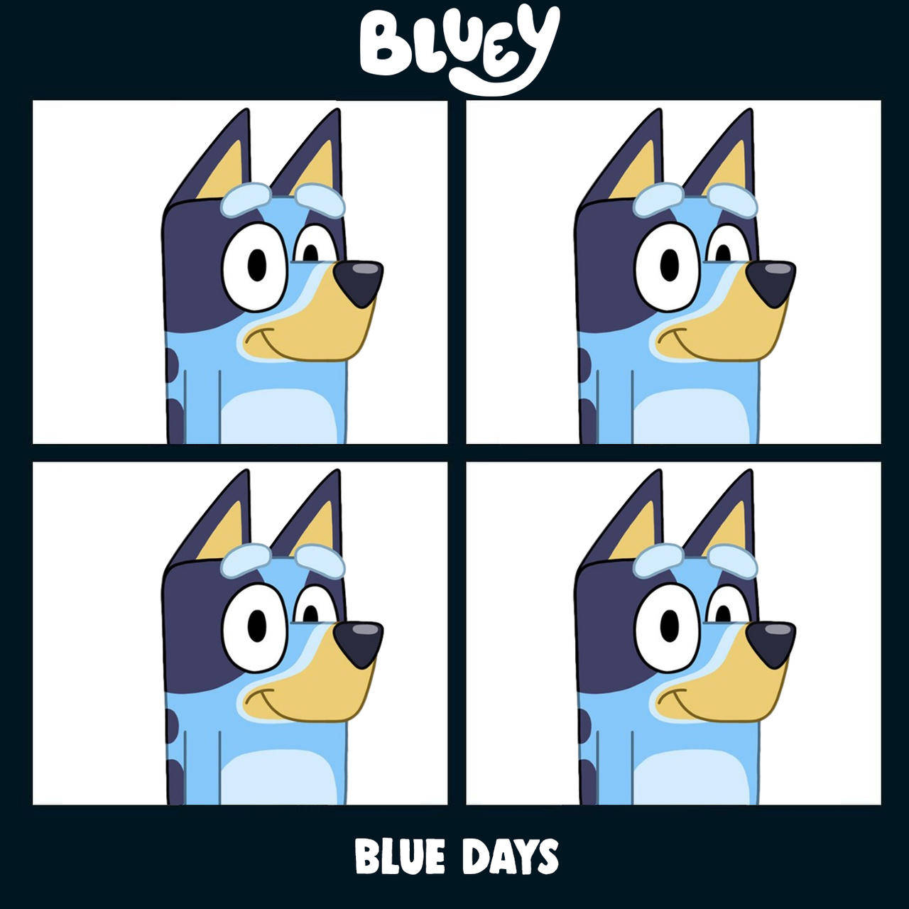 Bluey Photo Grid Wallpaper