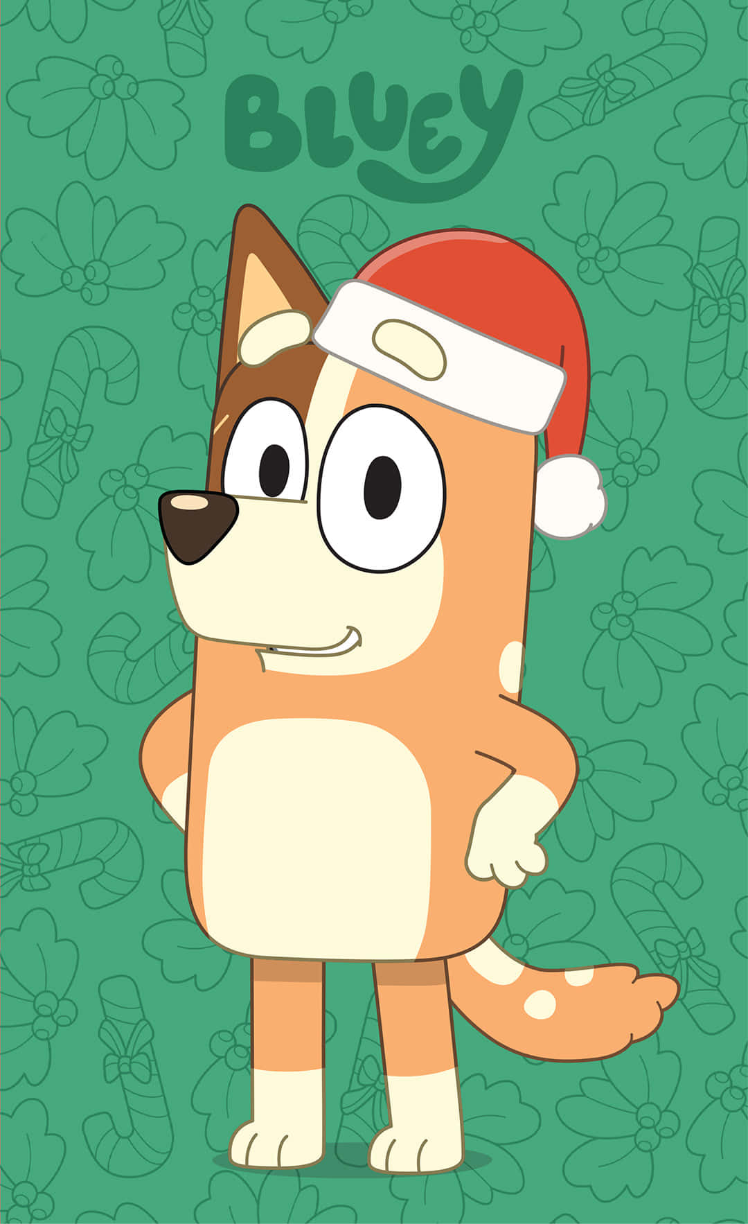 Blueyin Santa Hat Wallpaper