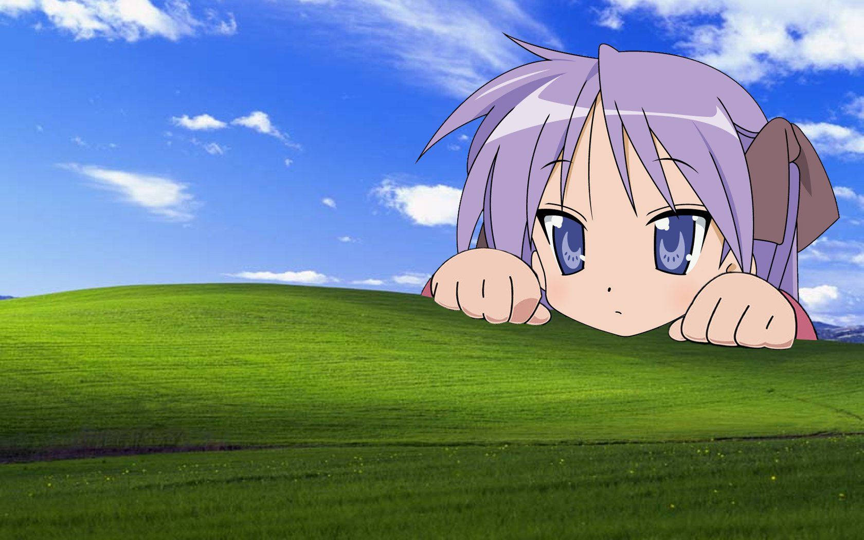 _ Blur Effects On Windows Xp Background_ Wallpaper