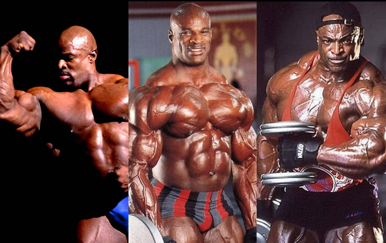 Body Builder Ronnie Coleman Wallpaper