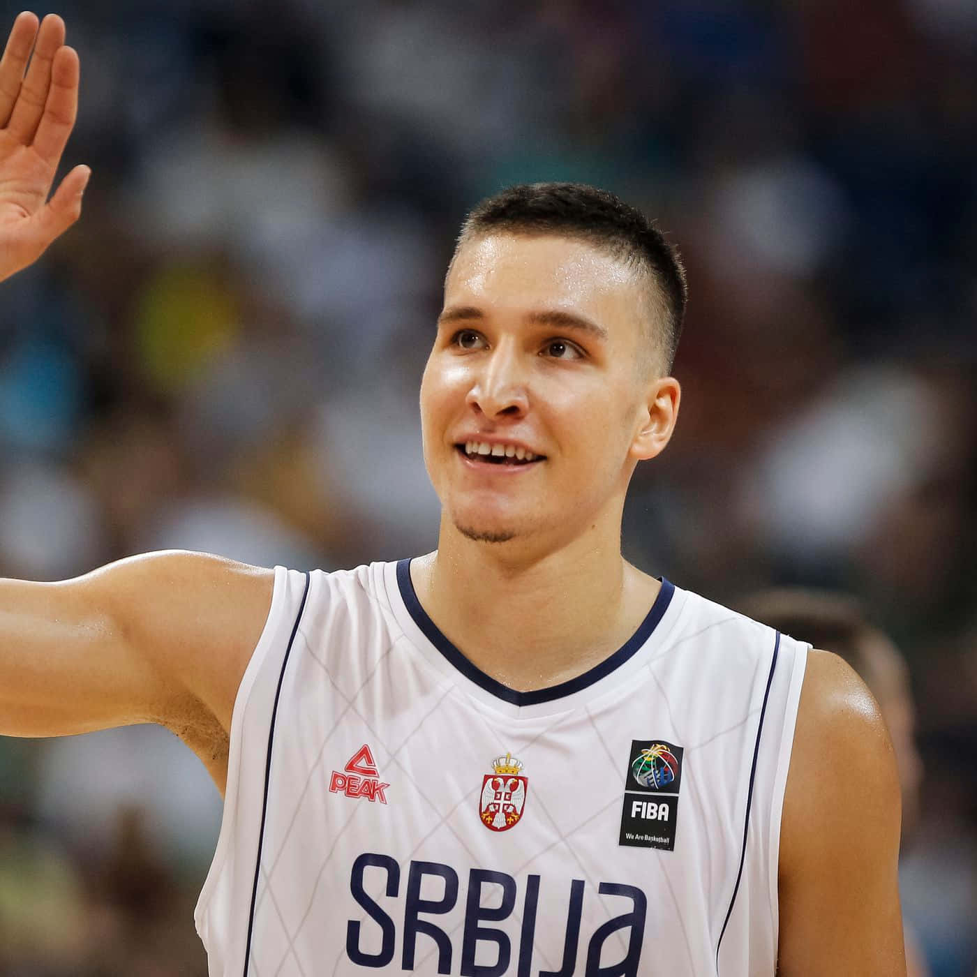 Bogdan Bogdanovic Helps Carry Serbia Wallpaper