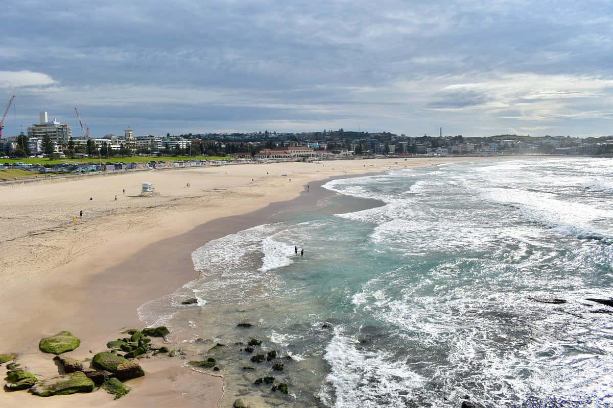 Bondi Beach Aerial View Wallpaper