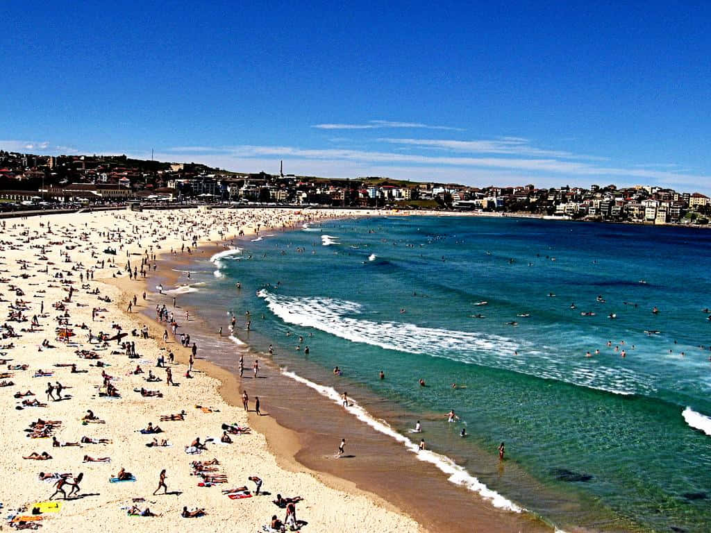 Bondi Beach Summer Day Wallpaper