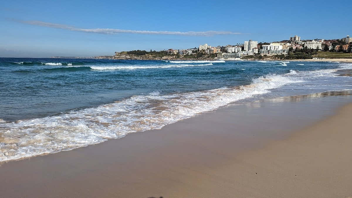 Bondi_ Beach_ Sunny_ Day Wallpaper