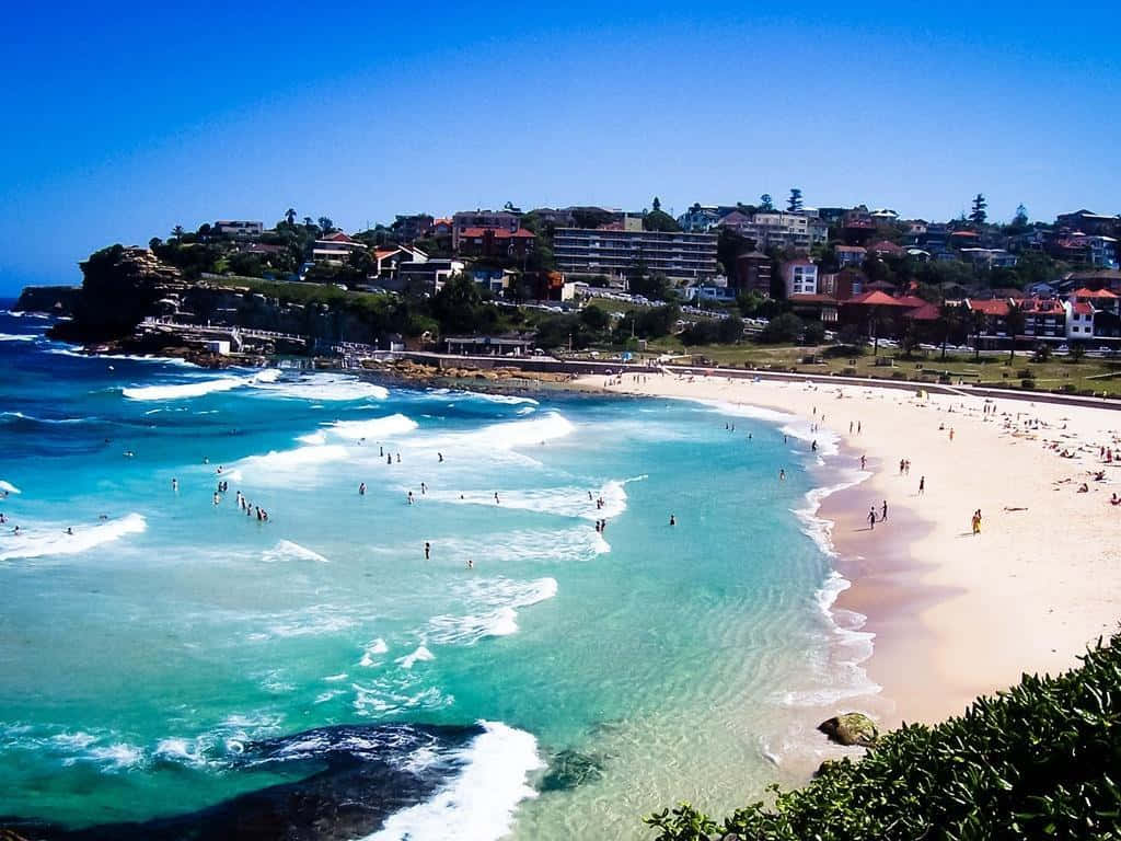 Bondi Beach Sydney Australia Wallpaper