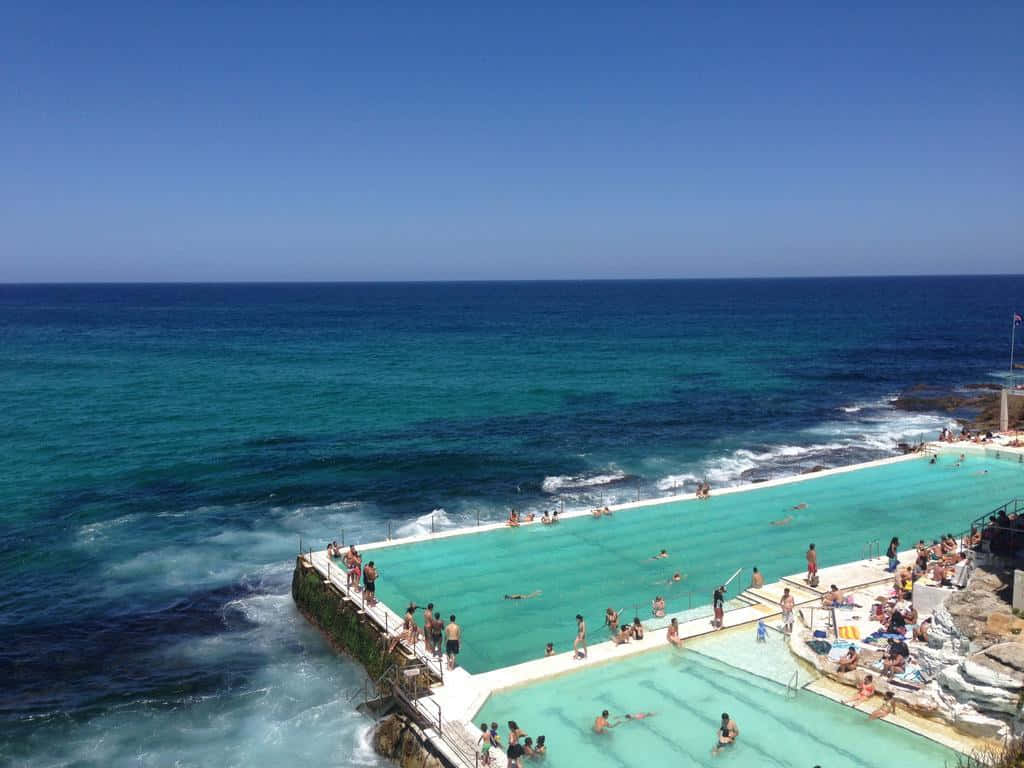 Bondi Icebergs Pool Sunny Day Wallpaper