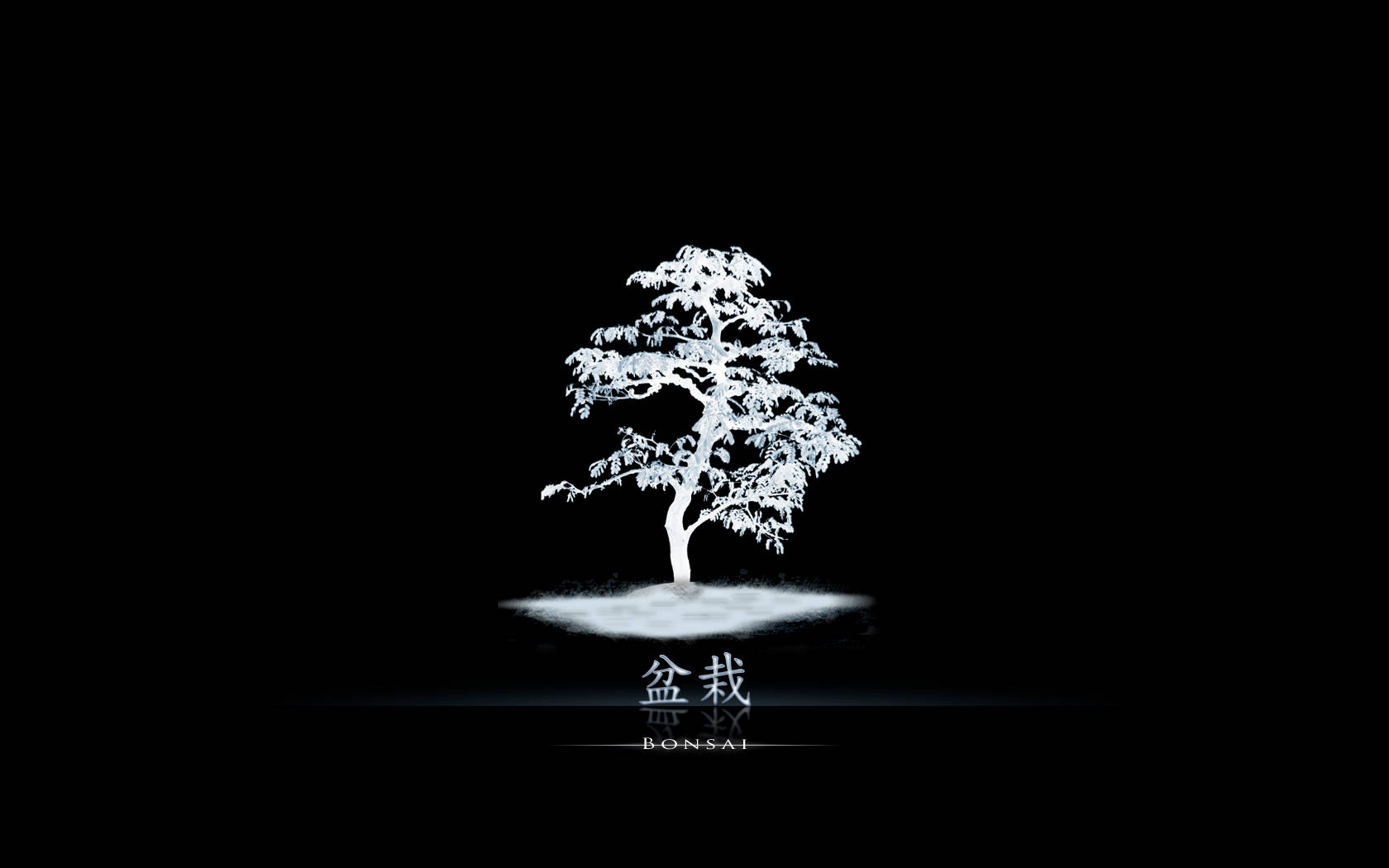 Bonsai Japanese Tree Digital Art Wallpaper