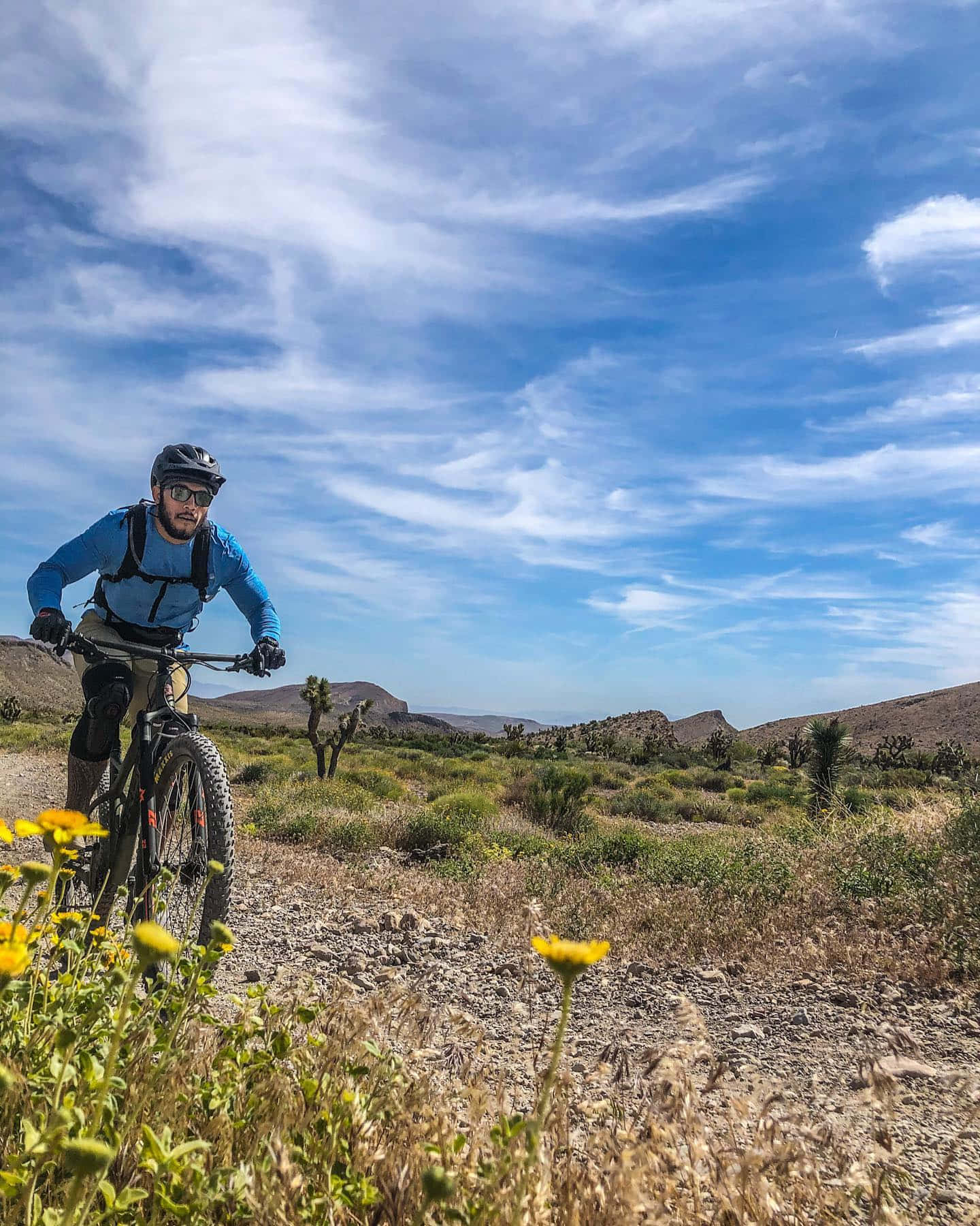 Brad Tavares Training On A Bicycle Wallpaper