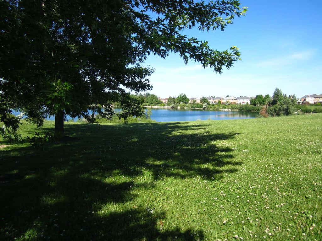 Brampton Park Lake View Wallpaper