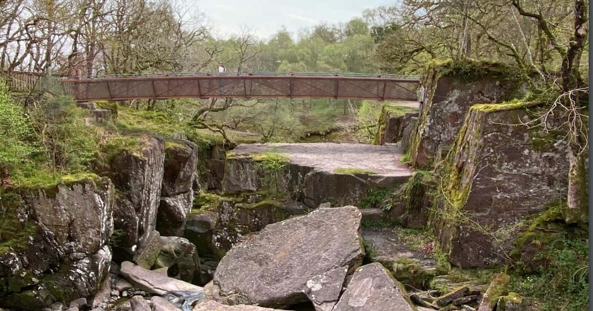 Breathtaking Autumn View Of The Bridge Wallpaper