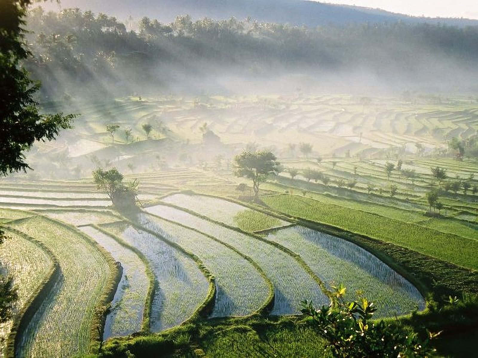 Breathtaking Bali Beach View Wallpaper