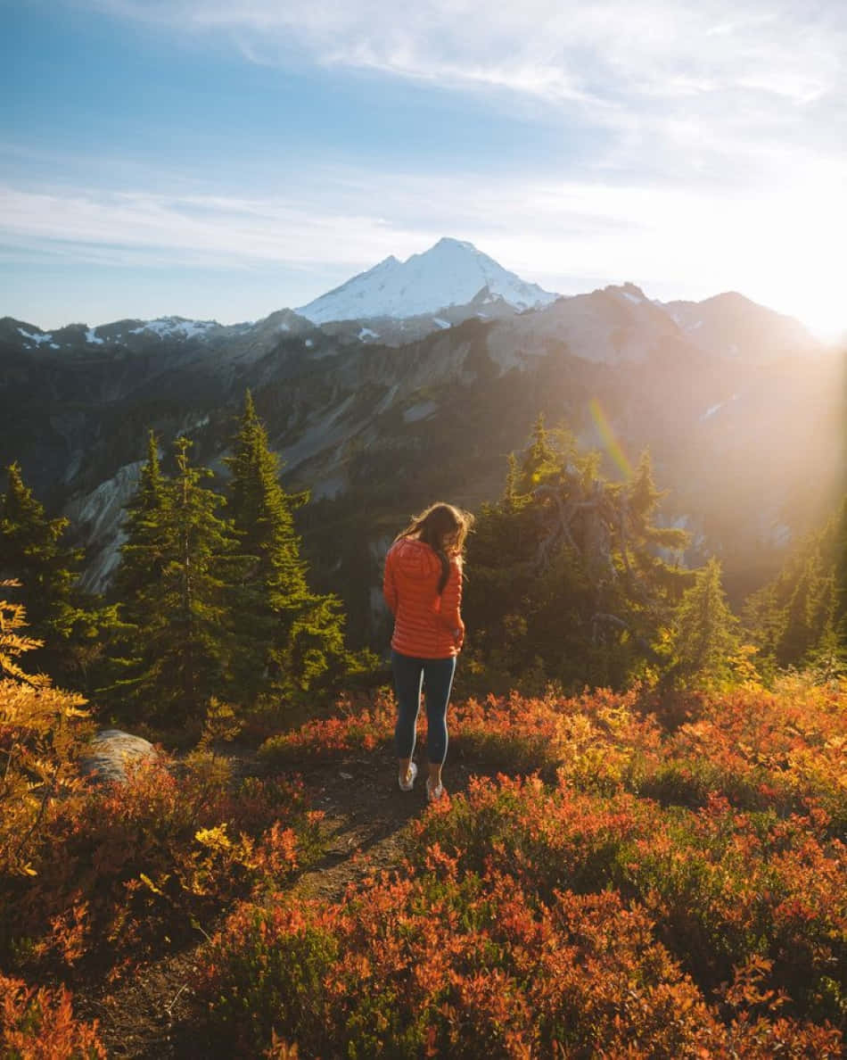 Breathtaking Fall Hike In The Autumn Forest Wallpaper