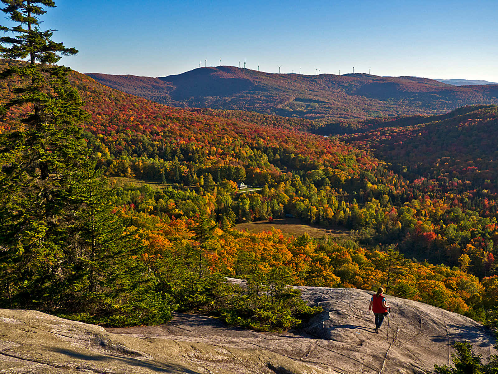 Breathtaking Fall Hike Trail Through Golden Trees Wallpaper