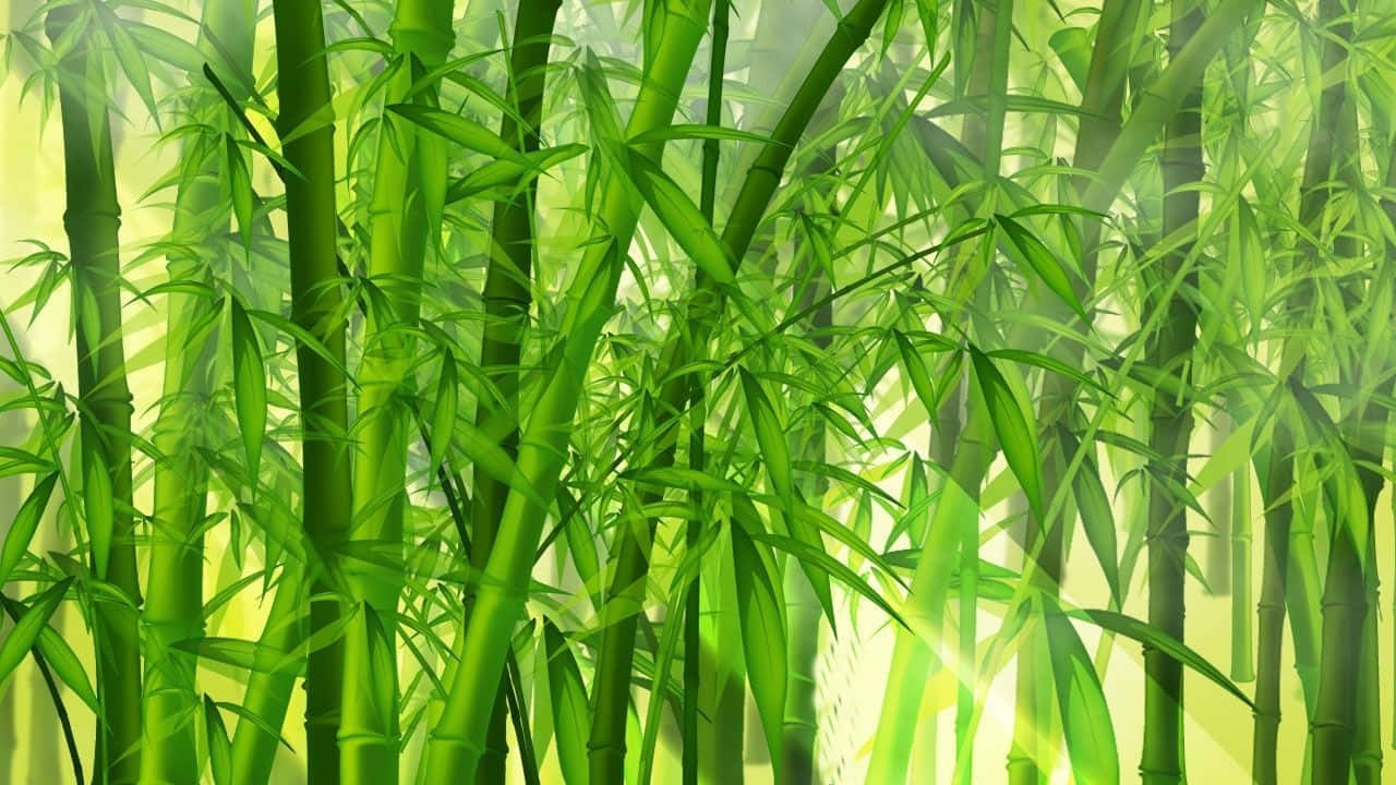 'breathtaking Green Bamboo In Its Natural Habitat' Wallpaper