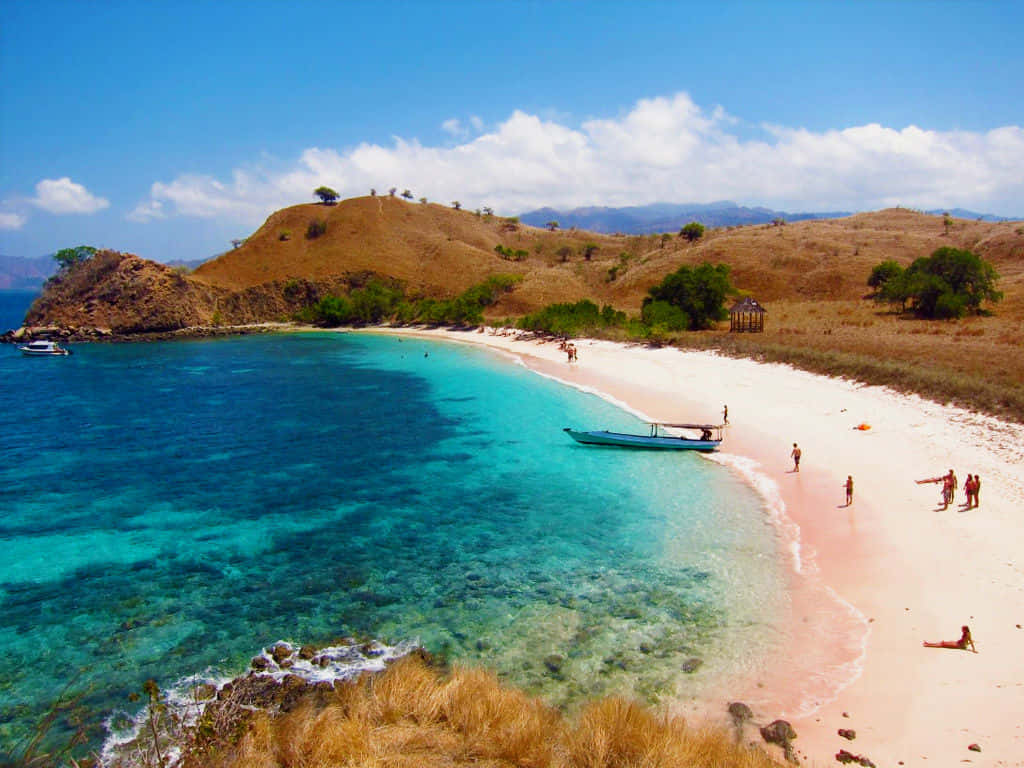 Breathtaking Pink Sand Beach At Its Finest Wallpaper