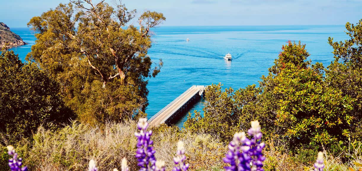 Breathtaking View Of California Island From A Distance Wallpaper