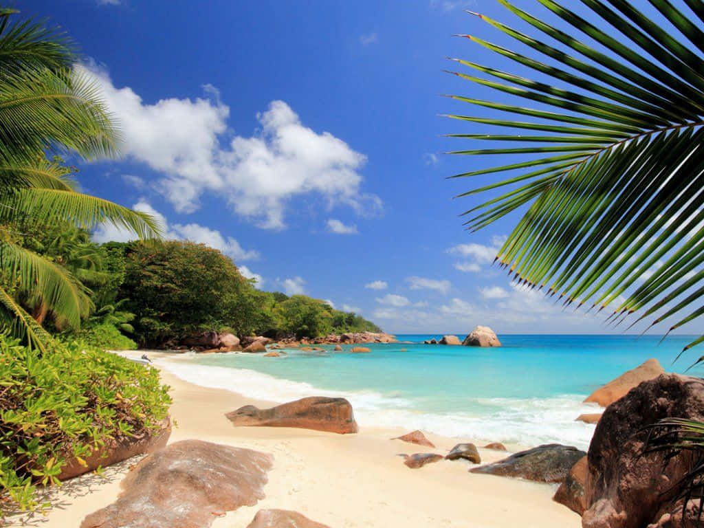 Breathtaking View Of Seychelles Beach Wallpaper