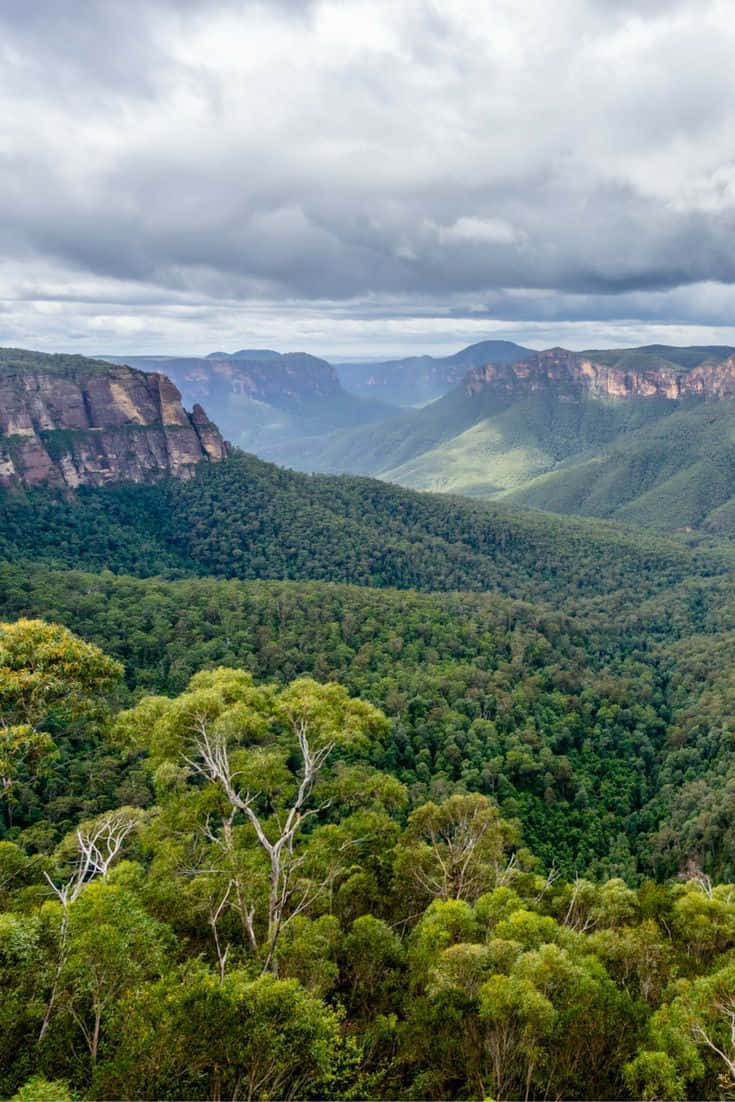 Breathtaking View Of The Blue Mountains Landscape Wallpaper