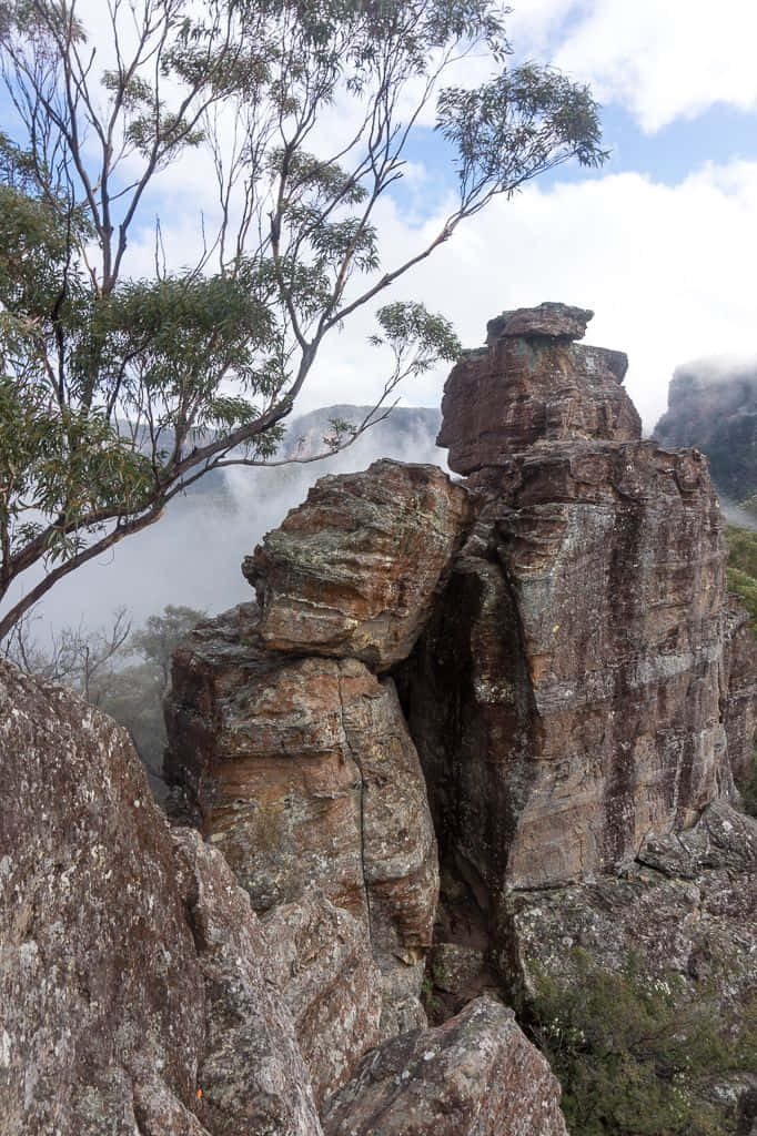 Breathtaking Views Of Blue Mountains National Park Wallpaper