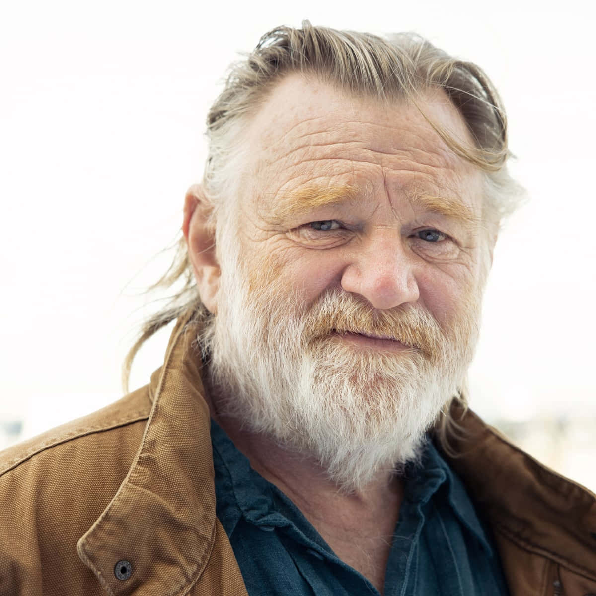 Brendan Gleeson [wallpaper] Wallpaper