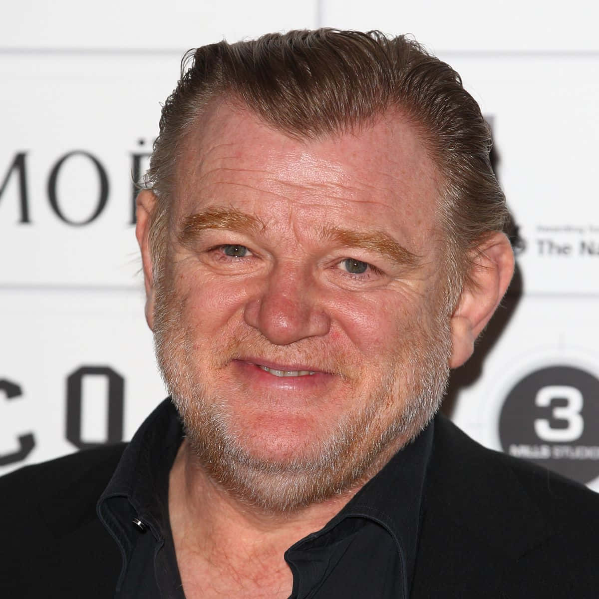 Brendan Gleeson [wallpaper] Wallpaper