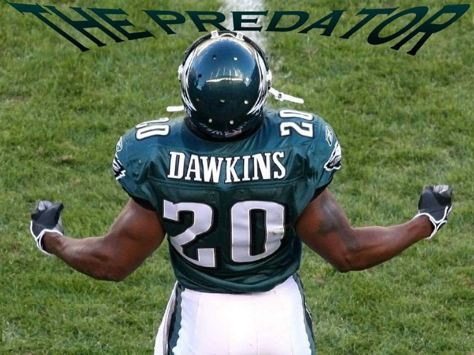 Brian Dawkins The Predator Pose Wallpaper