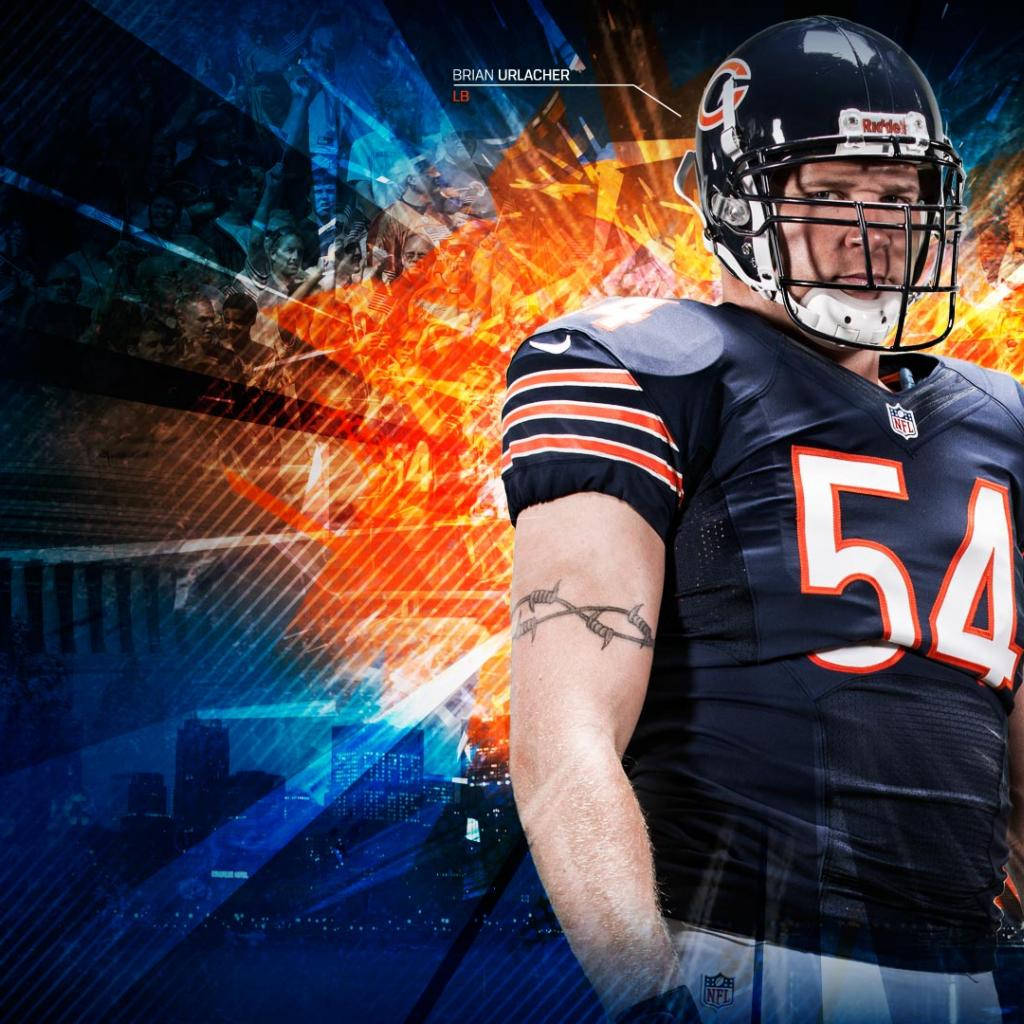 Brian Urlacher Chicago Bears Wallpaper