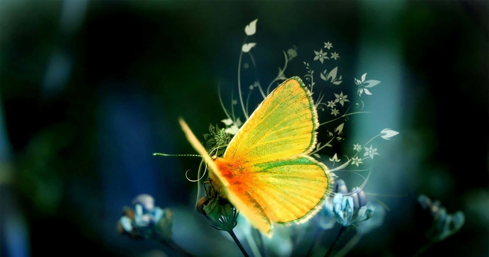 Bright And Beautiful Cute Yellow Butterflies Wallpaper