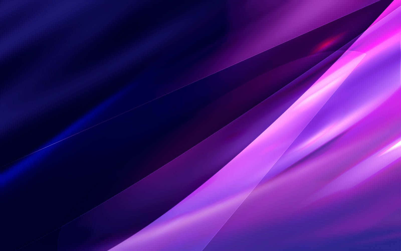 Bright And Bold White And Purple Field Wallpaper