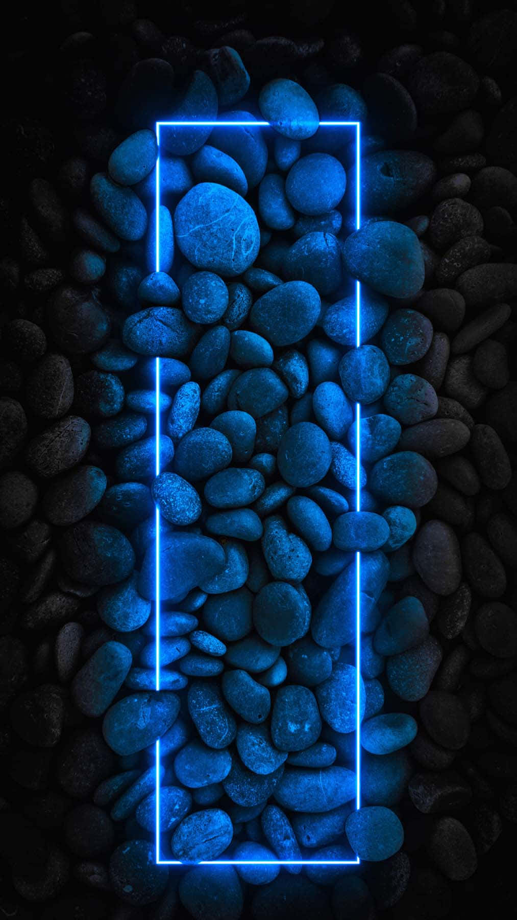 Bright Blue Neon Signs Light Up The Night Wallpaper