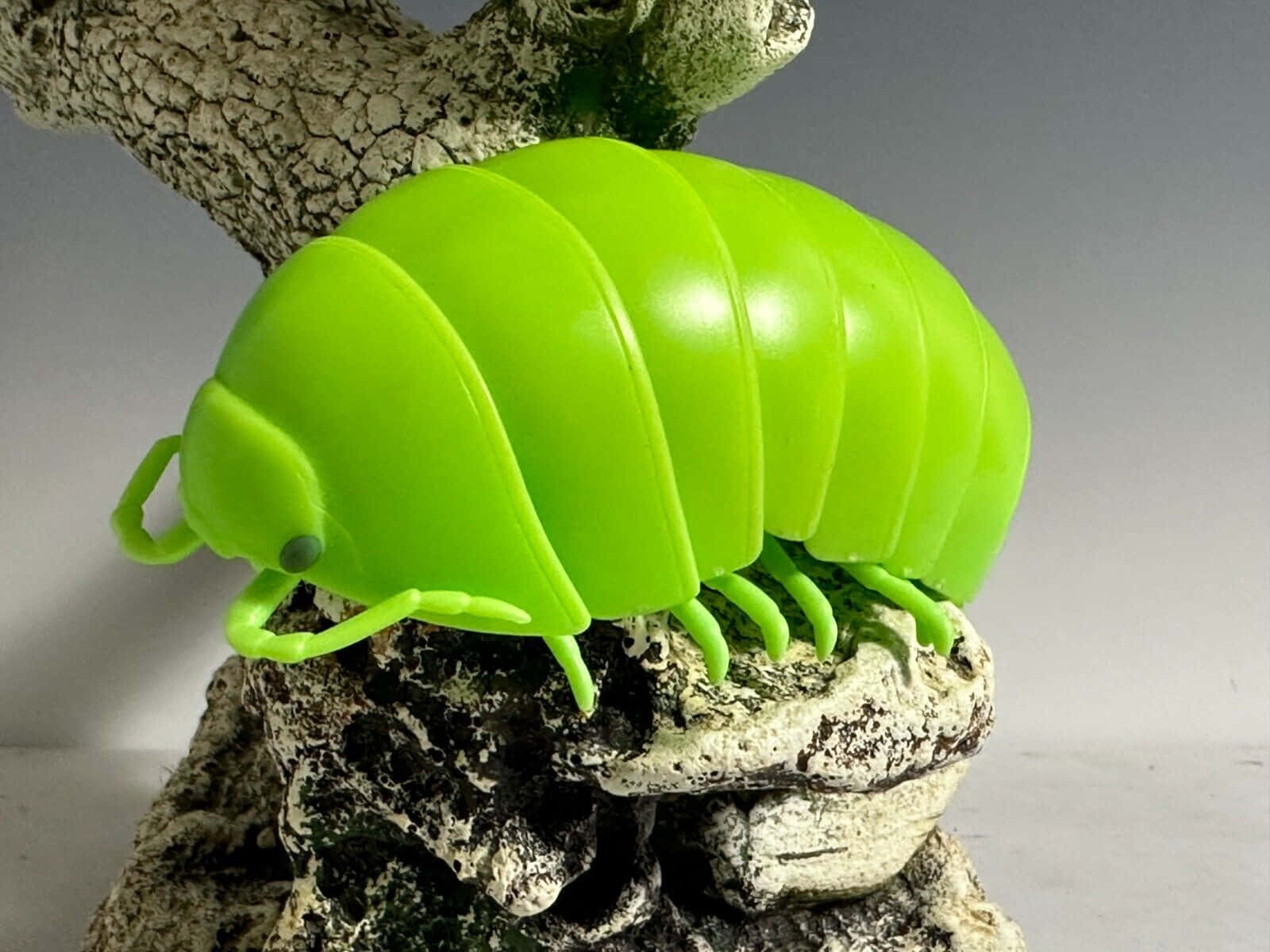 Bright Green Pillbug Modelon Tree Branch Wallpaper