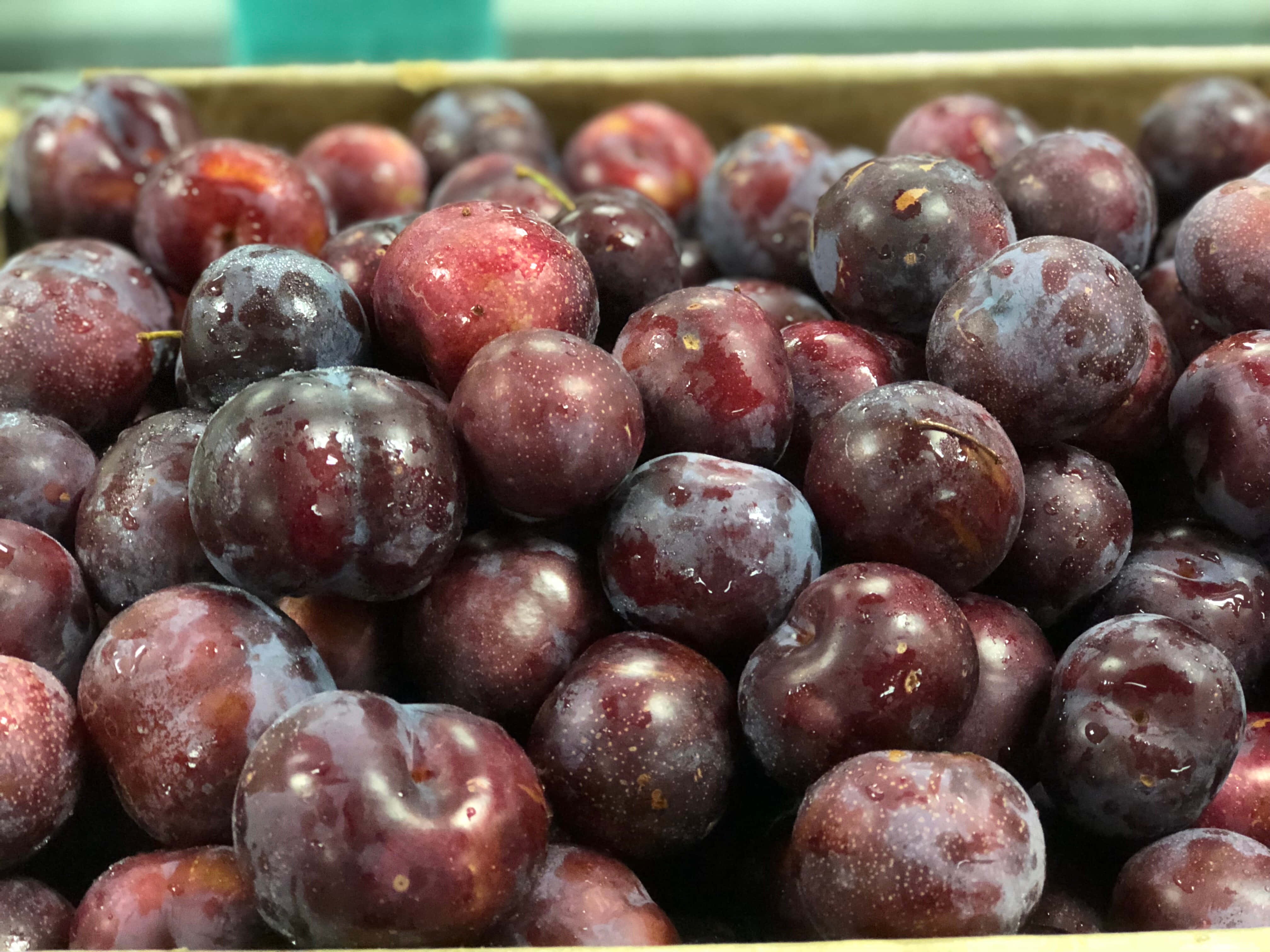 Bright Purple Plums Contrasted Against A Deep Green Background. Wallpaper